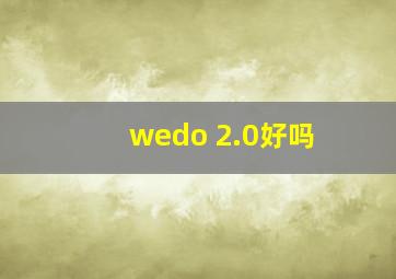 wedo 2.0好吗